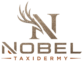 Nobel Taxidermy